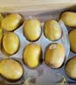 佳沛（zespri）新西兰金奇异果10粒巨大果146-175g猕猴桃水果礼盒 实拍图
