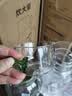 炊大皇家用冷水壶泡茶耐冷耐高温大容量高硼硅玻璃1.63L（苔间绿） 实拍图