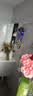 云选花礼混搭礼物玫瑰10枝+康乃馨20枝+配草10枝共40枝随机色源头直发 实拍图