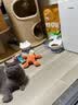 维克（Virbac）耳漂滴耳液狗狗猫咪预防耳螨止痒耳朵清洁宠物洗耳液 125ml 实拍图
