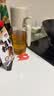 小熊（Bear）喷倒一体油壶 喷油壶调料瓶高硼硅玻璃厨房酱油瓶550ml CX-W0086 实拍图