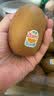 佳沛（zespri）新西兰金奇异果22粒巨大原箱146-175g猕猴桃水果礼盒 实拍图