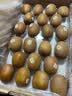佳沛（zespri）新西兰金奇异果22粒巨大原箱146-175g猕猴桃水果礼盒 实拍图