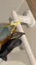 懒角落发箍挂式收纳架免打孔卫生间浴室置物架发圈首饰架头绳抓夹单支款 实拍图