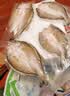 仙泉湖三去白蕉海鲈鱼1斤/条净膛刺少肉厚珠海特产500g海鲜水产生鲜食材 实拍图