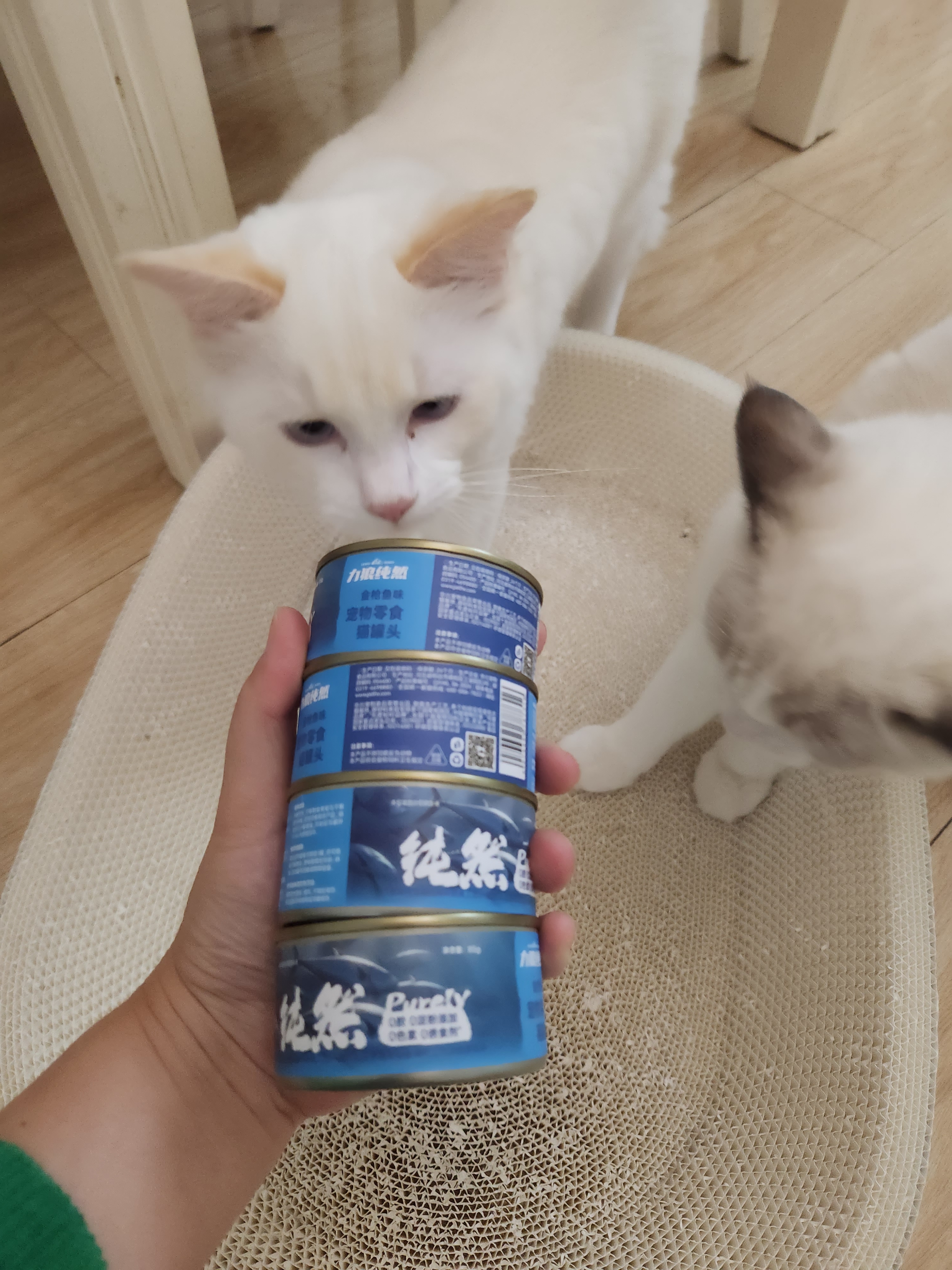 力狼猫罐头补水汤罐猫咪汤包幼猫成猫零食宠物食品猫湿粮 【7罐】金枪鱼味补水罐85g 实拍图