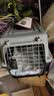 腆宠宠物航空箱小号 猫咪航空箱猫狗 猫包猫笼外出车载猫箱狗狗托运 实拍图