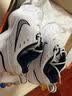 耐克NIKE男老爹鞋AIR MONARCH IV 运动训练鞋415445-102白蓝40 实拍图
