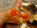 【活蟹】蟹宗鲜活大闸蟹公4.0-4.3两母3.0-3.3两4对8只生鲜螃蟹海鲜节日礼品源头直发 实拍图