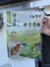 杨博士皖南散养土鸡4只 净重4斤 未打鸣小公鸡童子鸡源头直发 实拍图