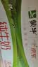 蒙牛【新鲜日期】全脂纯牛奶200ml*24盒 3.2g蛋白 家庭送礼囤货 实拍图