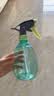 喷壶浇花浇水喷雾器气压式喷水壶家用园艺养花500ml 南瓜喷壶透蓝【1个装】 实拍图