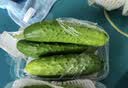 【水果菜】东北旱黄瓜约550g 实拍图