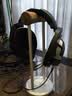 森海塞尔（Sennheiser）HD800S HIFI耳机 旗舰发烧高保真音乐耳机 头戴式有线耳机游戏耳机 实拍图