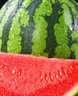 京鲜生 无籽麒麟大西瓜 1粒装 10-14斤 新鲜水果 实拍图
