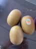 佳沛（zespri）新西兰金奇异果22粒巨大原箱146-175g猕猴桃水果礼盒 实拍图
