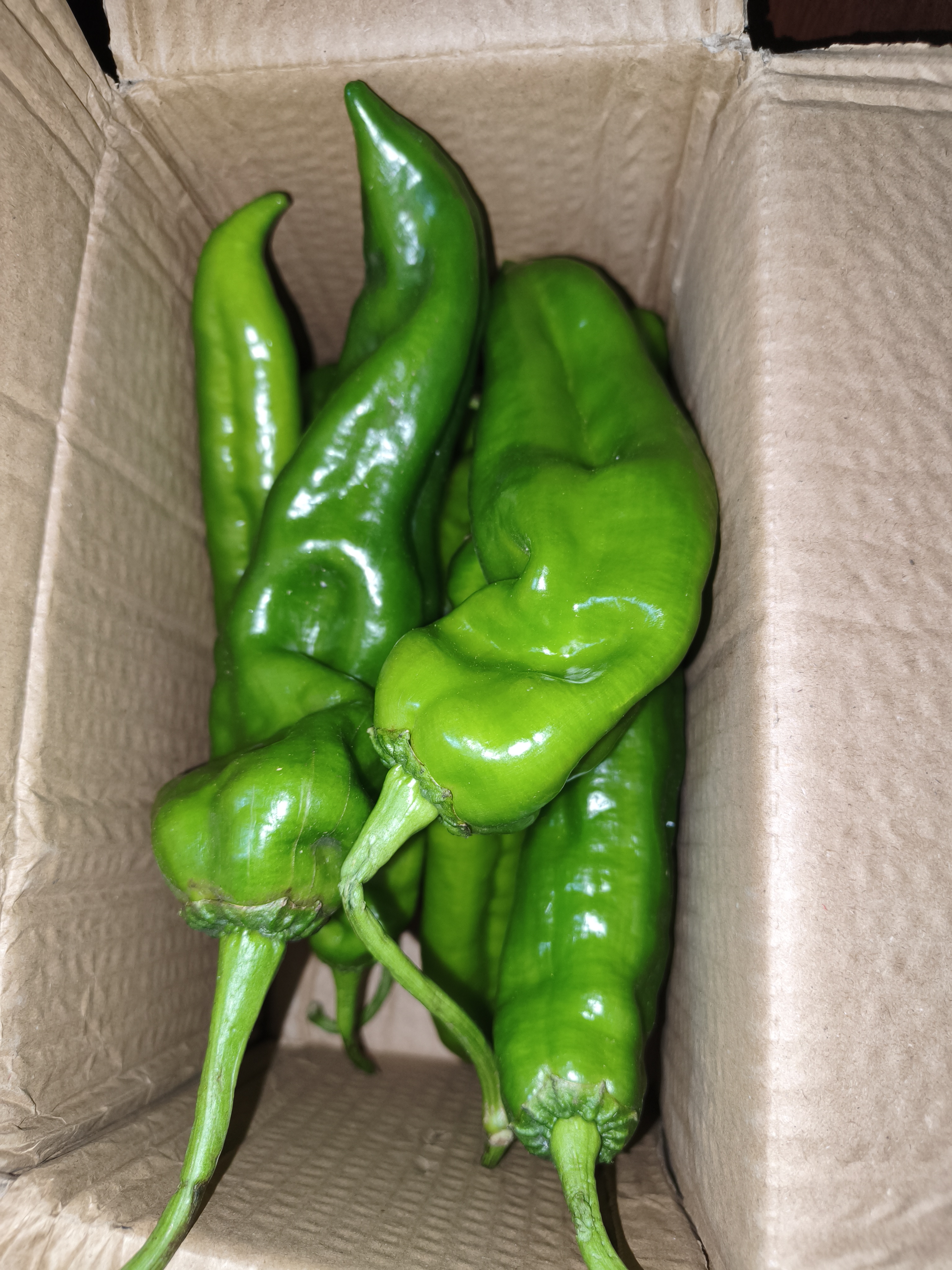 新鲜青辣椒尖椒牛角椒中辣皮薄饱满清脆辣椒炒肉下饭菜 【香辣】河南尖椒带箱2斤（净重1.8斤） 实拍图