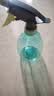 喷壶浇花浇水喷雾器气压式喷水壶家用园艺养花500ml 南瓜喷壶透蓝【1个装】 实拍图