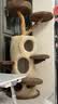 兽牌树屋猫爬架大型猫树猫窝一体实木猫抓柱小户型猫架子豪华冬季保暖 树屋猫爬架【经典色】 实拍图