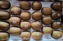 佳沛（zespri）金奇异果25-27粒原箱特大果124-146g猕猴桃水果礼盒 实拍图