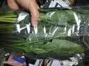 大菠菜300g 实拍图