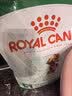 皇家狗粮 成犬狗粮 犬粮 宠物小型犬 PR27全价犬粮≥10月8KG 宠物金选 实拍图