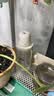 几素 加湿器迷你卧室婴儿家用宿舍便携小型无线空气低噪床头小巧补水办公室桌面usb车载香薰大容量加湿 【2200毫安】500ml原装玻璃瓶+2根滤芯 实拍图