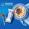 伊利安慕希希腊风味早餐酸奶 原味205g*10盒  礼盒装 实拍图