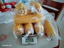 京鲜生东北黄糯玉米300g*8棒 甜黏玉米低脂早餐代餐粗粮真空装 源头直发 实拍图