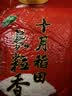 十月稻田 长粒香大米 10斤（东北大米 香米 5kg/公斤） 实拍图