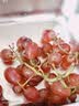 京鲜生 克伦森无籽红提 净重4斤装葡萄/提子 克伦生 源头直发 实拍图