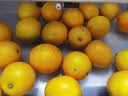 玖原农珍 赣南脐橙新鲜橙子含箱10斤净重9斤优选果160-350g 水果礼盒 实拍图