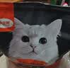 卫加全价猫粮10斤装 成猫猫咪主粮通用型5kg 实拍图