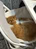 麦富迪猫粮 超肉粒冻干双拼成猫粮美毛护肠胃 三文鱼2kg 实拍图