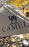 骆驼（CAMEL）天幕户外大号黑胶露营帐篷野营野餐遮阳棚防雨防晒野外露营 B011A 实拍图
