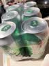 雪花啤酒(Snowbeer)清爽 330ml*24听 口感冰爽 经典热销商品 京东自营 实拍图