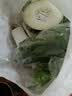 大菠菜300g 实拍图