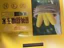 十月稻田 【新玉米·品种升级】黄甜糯玉米 10根 4.4斤 东北杂粮 粗粮礼盒 实拍图