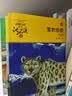 动物小说大王沈石溪品藏书系新版（青红特辑套装共12册）儿童文学故事书 童书 课外阅读 课外书 暑期阅读   省钱卡 实拍图