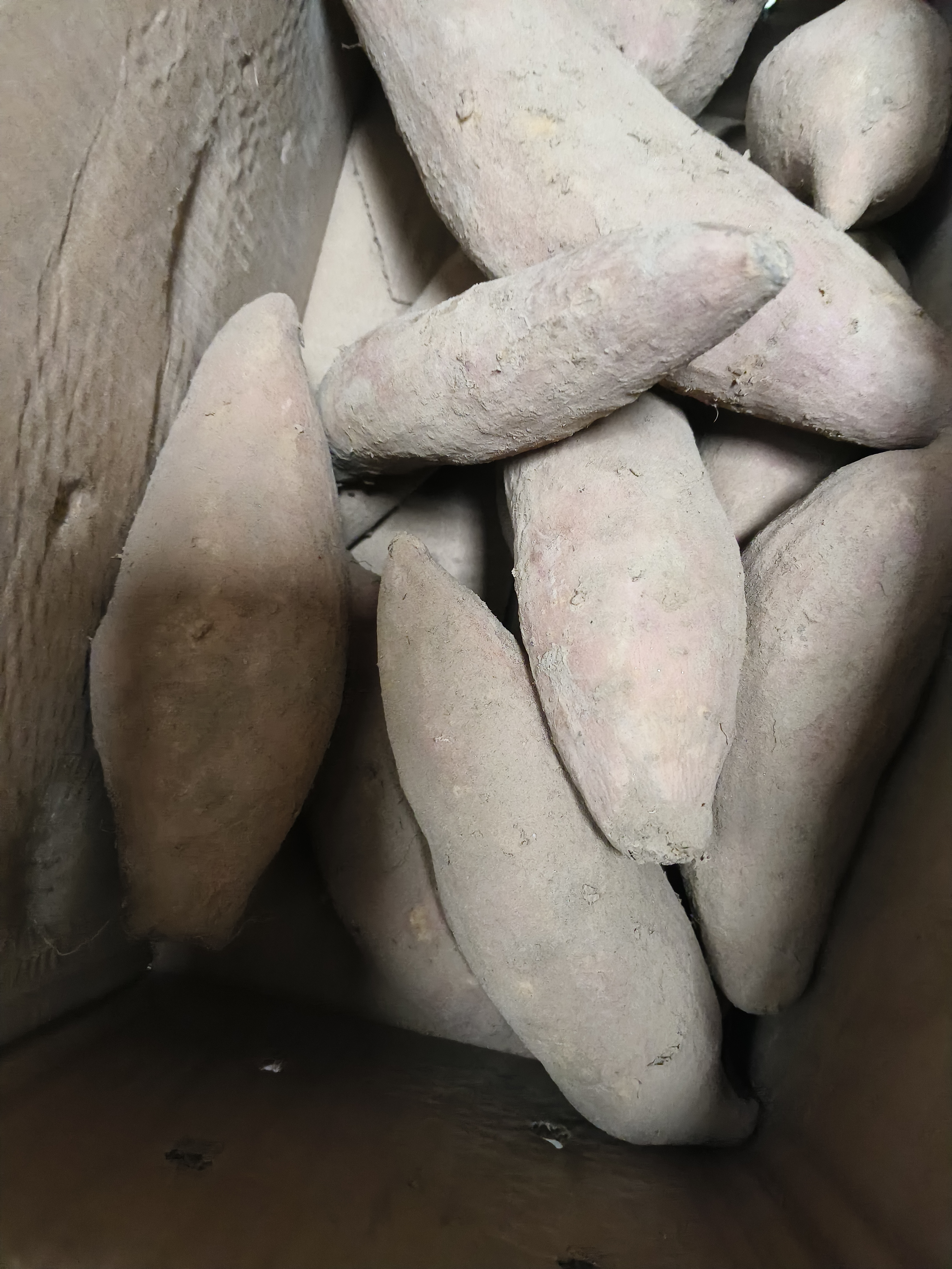 现挖沙地蜜薯红薯新鲜农家糖心番薯烤地瓜软糯批发黄心包邮 河南西瓜红蜜薯9斤中大果净重 单果150g+ 实拍图