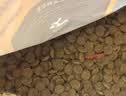 素力高（SolidGold）猫粮金素鸡 成猫幼猫进口高蛋白3磅/1.36kg【试吃装】 实拍图