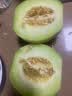 藤上熟玉菇蜜瓜单粒约1.2kg 实拍图