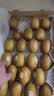 佳沛（zespri）新西兰金奇异果22粒巨大原箱146-175g猕猴桃水果礼盒 实拍图