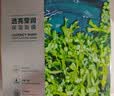 珀莱雅小球藻面膜补水保湿海藻补水玻尿酸面膜男女士生日礼物 实拍图