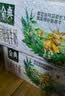 伊利【新鲜日期】金典纯牛奶200ml*24盒3.6g乳蛋白礼盒装 实拍图