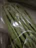 四季豆300g(架豆） 实拍图