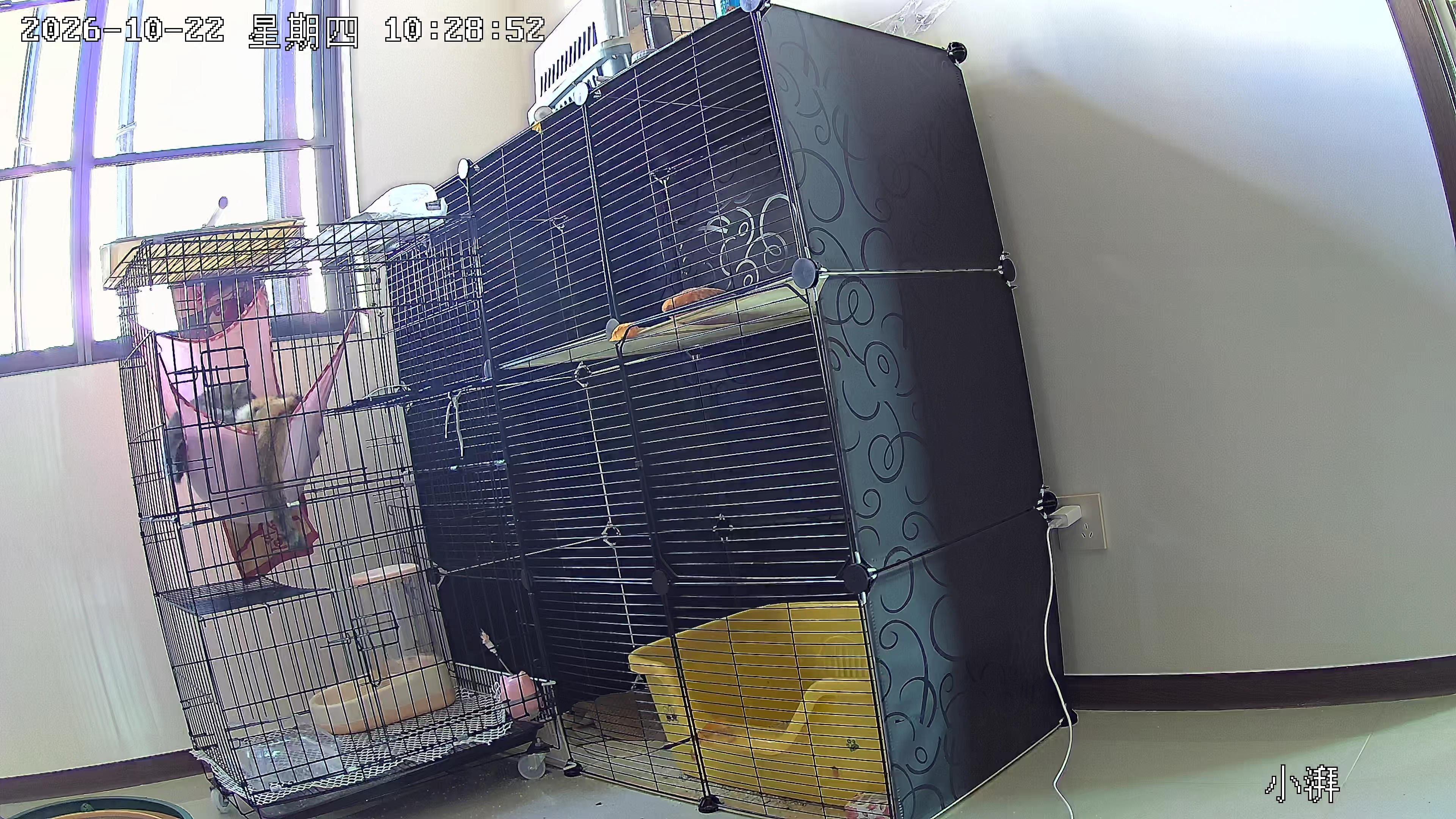 小湃800万4K室内家用摄像头P80无线网络室内高清监控器360度无死角带夜视家用监控婴儿宠物创维智造 实拍图