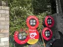 米其林（MICHELIN）静音棉轮胎 235/45ZR18 98Y T1 竞驰 PILOT SPORT 4 适配特斯拉 实拍图