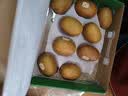 佳沛（zespri）新西兰金奇异果10粒巨大果146-175g猕猴桃水果礼盒 实拍图