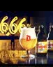 督威666330ml*6瓶 比利时进口啤酒 黄金艾尔原瓶进口精酿整箱高端送礼 实拍图